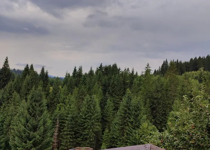 Vakantiehuis затишок Yablunytsia