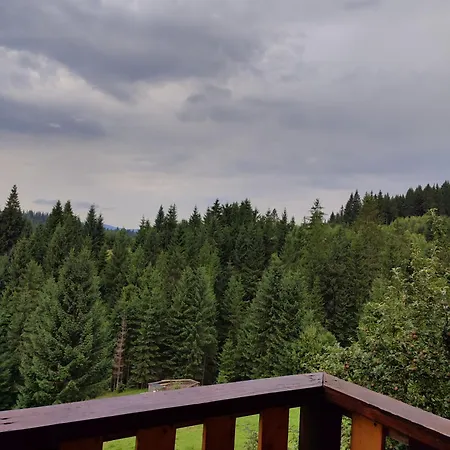 Holiday home затишок Yablunytsya